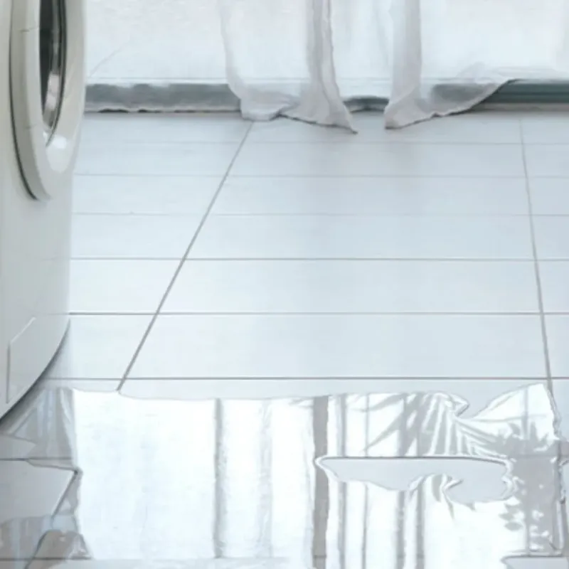 Appliance Leak Cleanup in Baird, TX