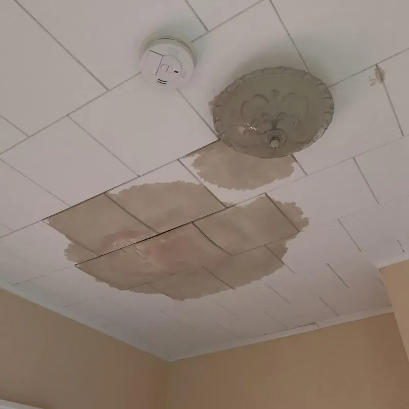 Ceiling Water Damage Repair in Baird, TX