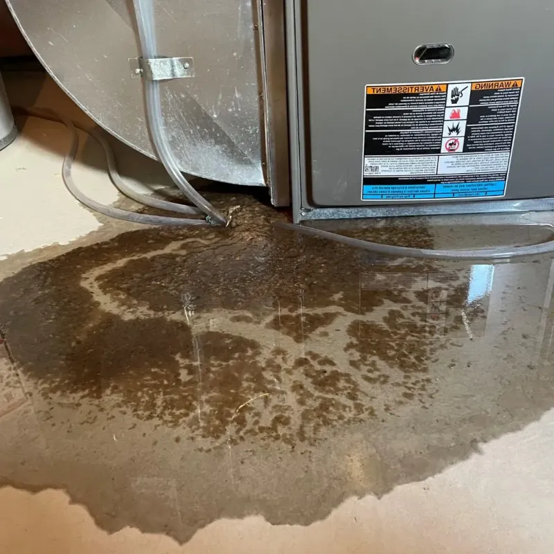 Pipe Burst and Leak Restoration in Baird, TX