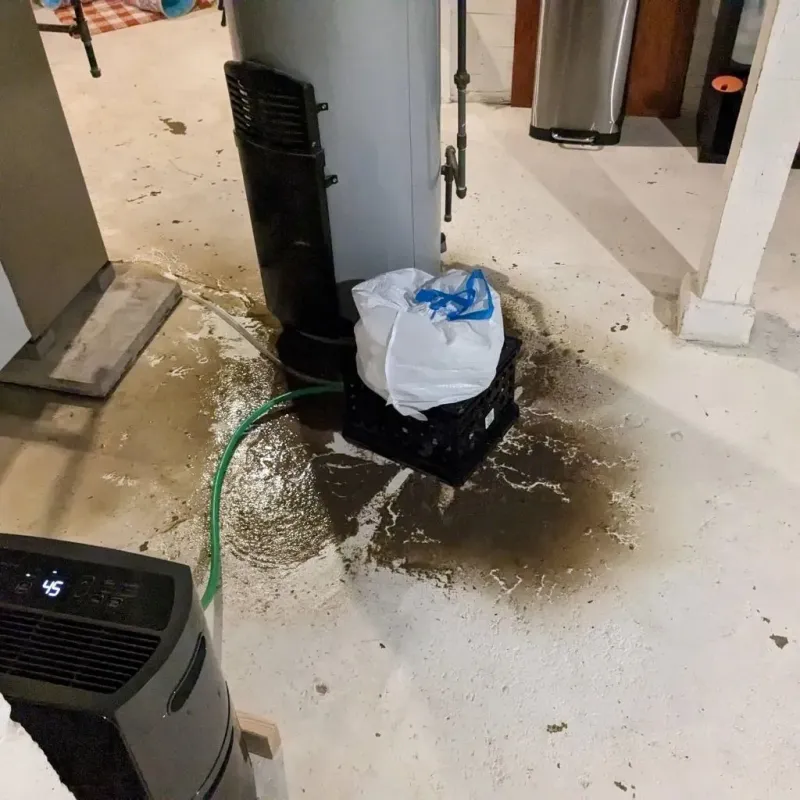 Sewage Backup Cleanup Service in Baird, TX